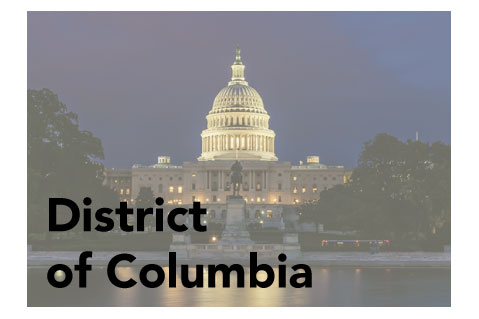 District of Columbia Promotional Product Sales Data