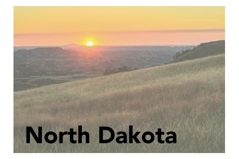 North Dakota State Promotional Product Sales Data