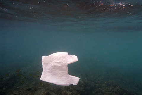 Massachusetts Senate Approves Plastic Bag Ban Bill