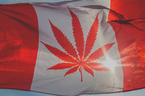 Canadian Law Enforcement Requests Pot Legalization Delay