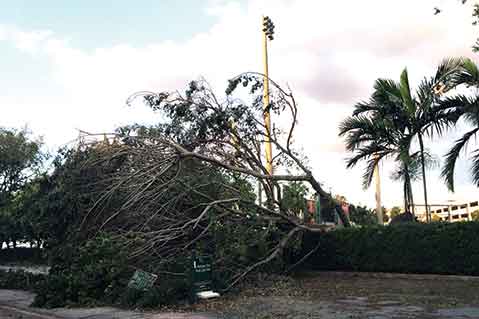 Hurricane Irma: The Human Impact