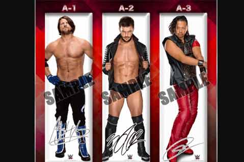 New WWE Japan Merch Includes Body Pillow Covers