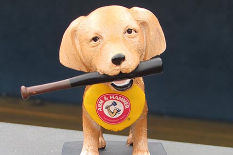 Trenton Thunder Unveils Unique Bobbleheads