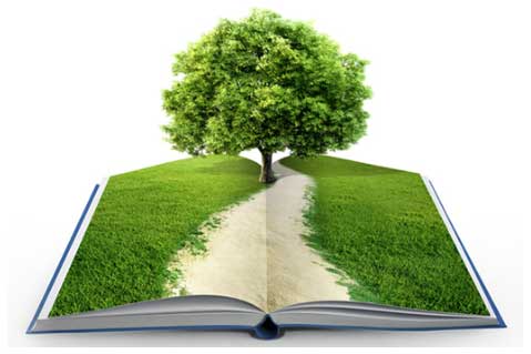 The Book Company Launches 'We Plant Trees'