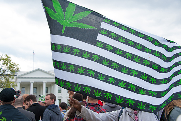 american weed flag