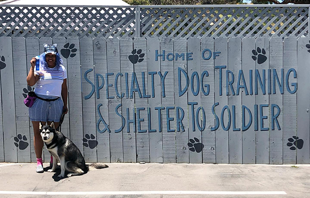 Shelter to Soldier service dog