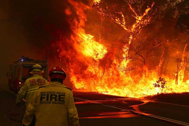 Australian Fires