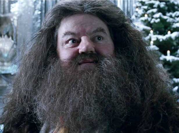 Hagrid