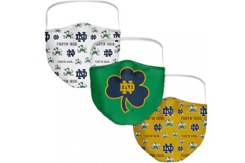 Notre Dame Mask