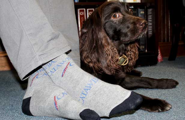 Branded socks next to a puppy