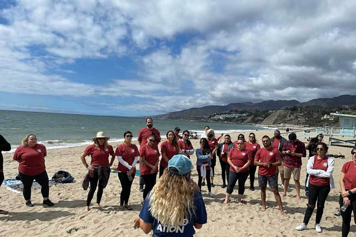 Beach cleanup