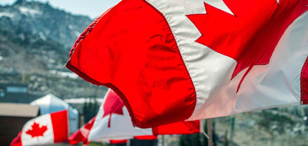 Canadian flags waving