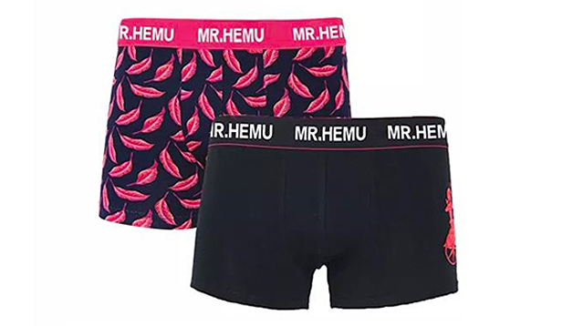 men's brief underwear