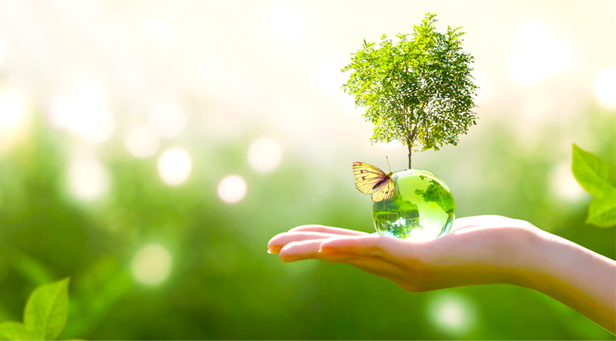 hand holding a small clear globe with tree growing out of it and a butterfly resting