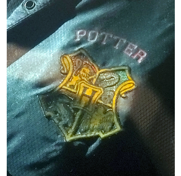 Harry Potter patch