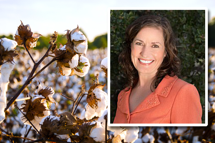 Q&A: Program Aims to Drive Forced Labor Out of Cotton Production