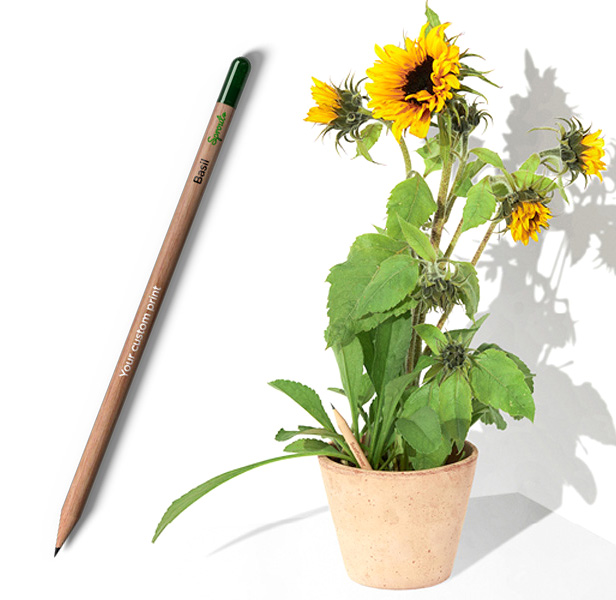 pencil and plant