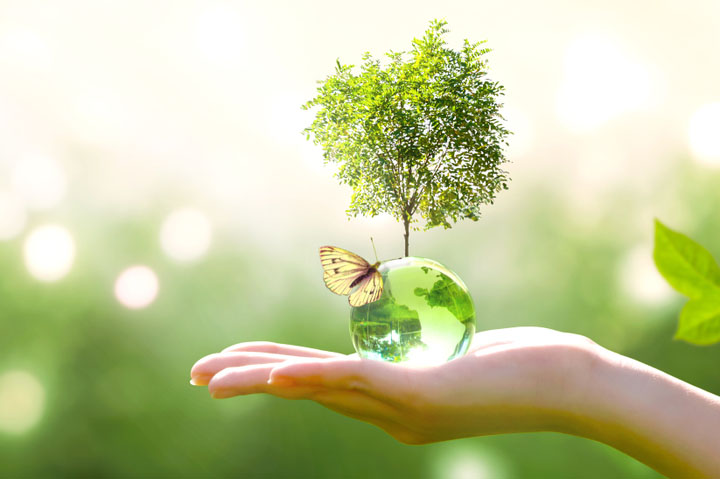 eco crystal globe, butterfly