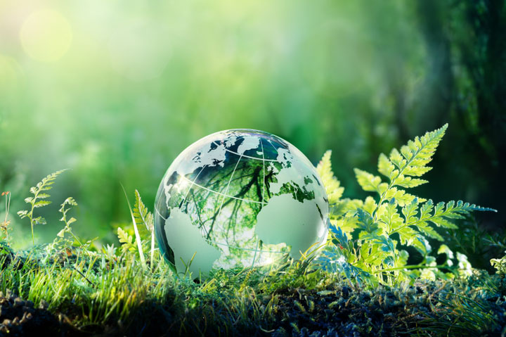 HanesBrands Earns High Marks in Global Sustainability Assessment