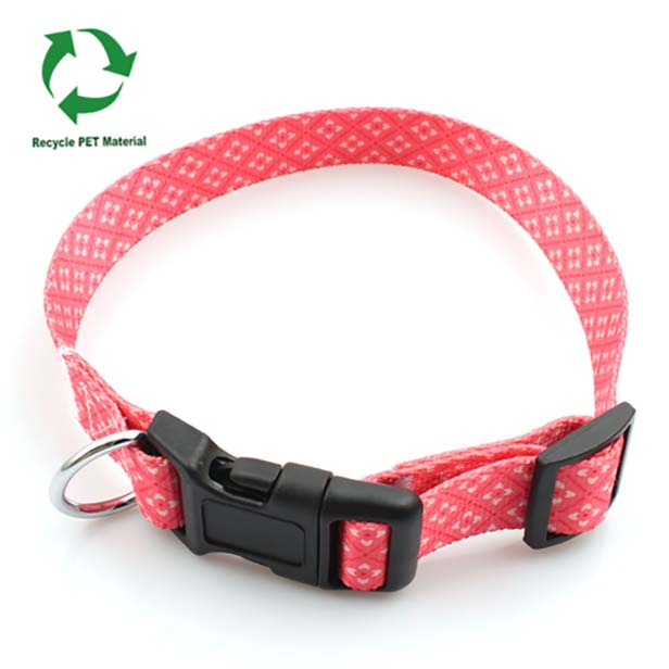 Sublimated pet collar