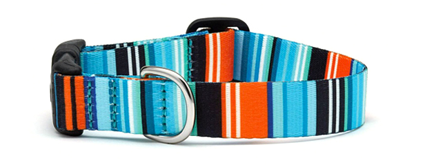 colorful striped pet collar