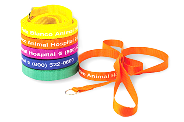 dog leads, assorted colors