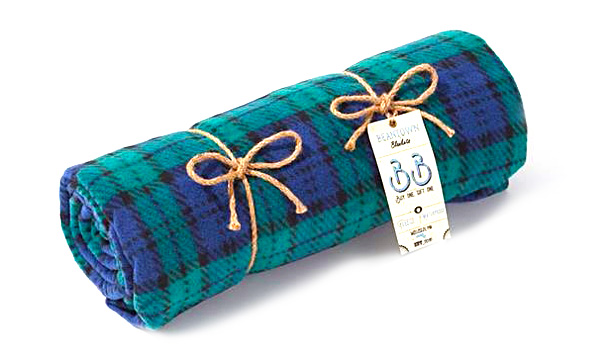 blue & green plaid blanket