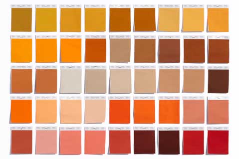 Pantone Adds 210 Colors For Fall