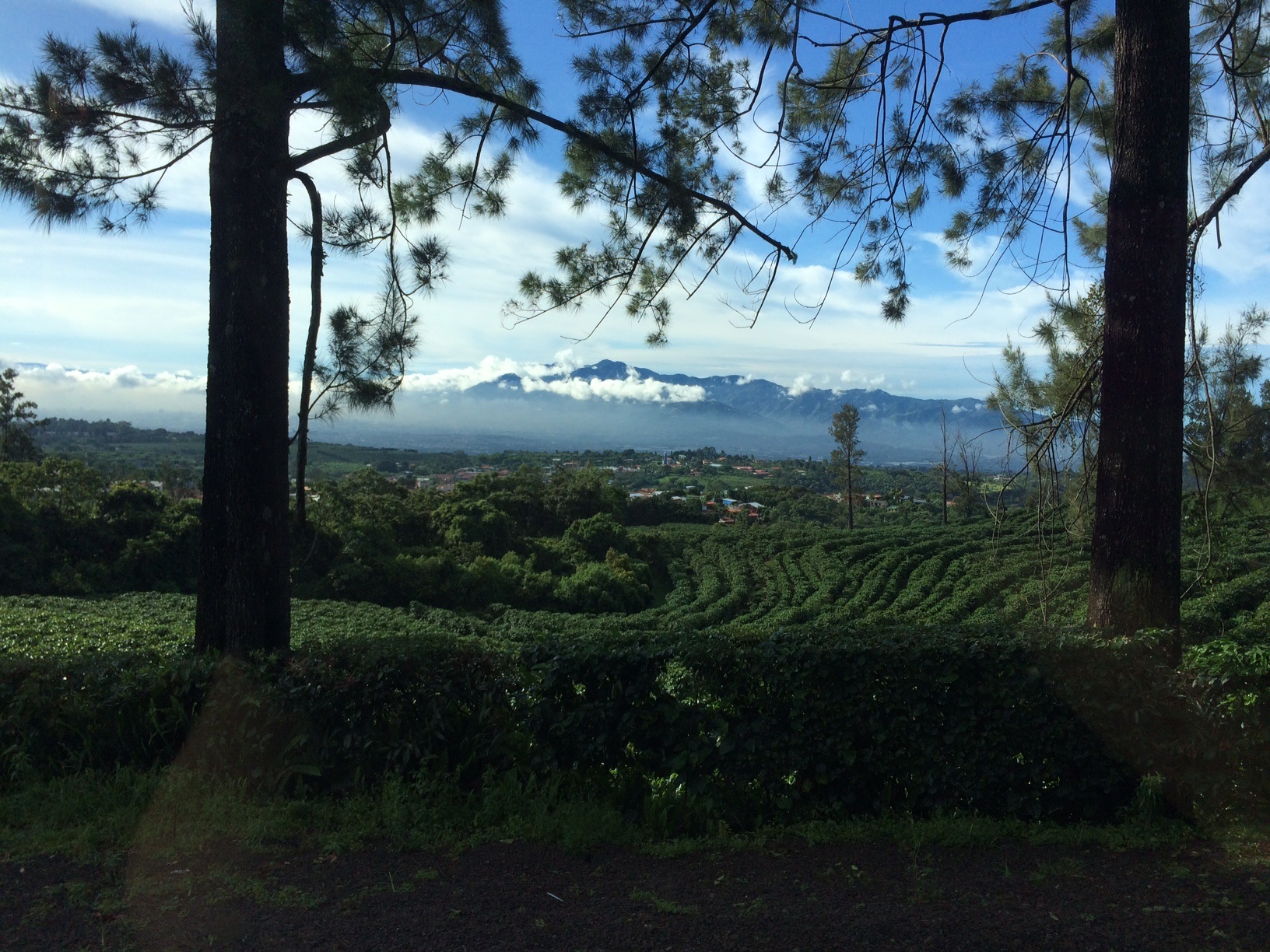 Mountain landscape