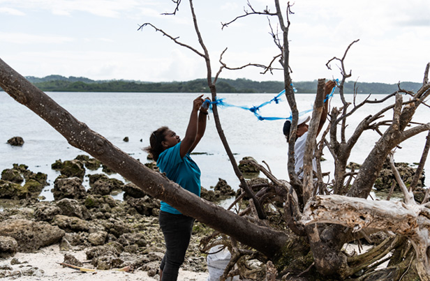 coastal cleanup