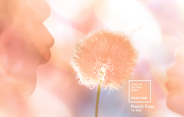 peach fuzz Pantone color