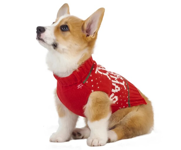 dog sweater