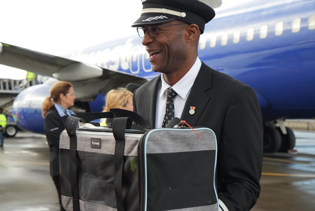 airline worker holding pet carrier